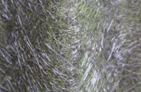 Wreaks End fibreglass roof work